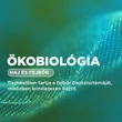 Kép 2/2 - BIODERMA NODE A NYUGTATÓ SAMPON 400ML