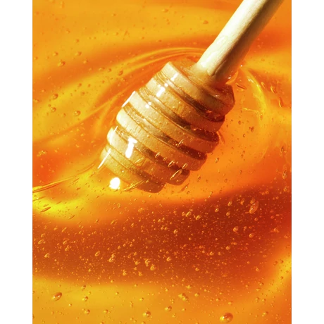 NUXE REVE DE MIEL MÉZES AJAKÁPOLÓ 10 ML