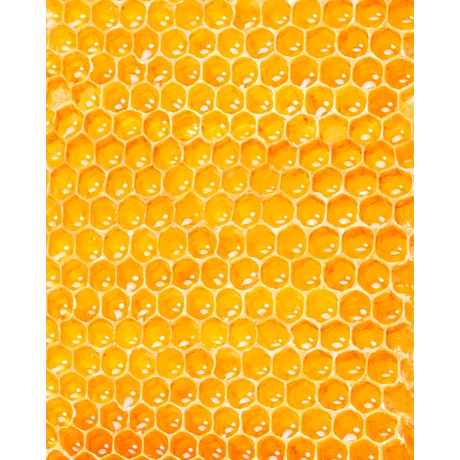 NUXE REVE DE MIEL MÉZES AJAKÁPOLÓ 10 ML