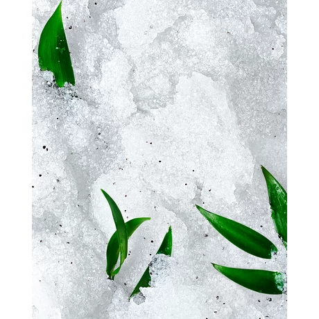 NUXE REVE DE THE REVITALIZÁLÓ SZEMCSÉS TESTRADÍR 150ML